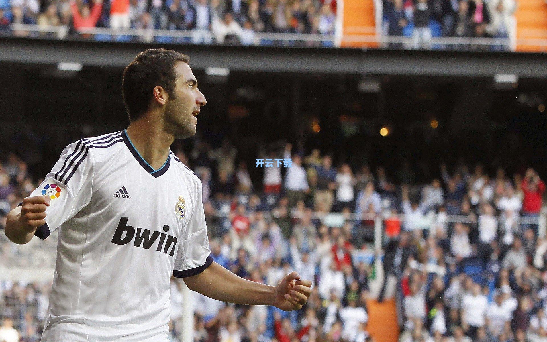 黑猫觉醒金刚喵！桑德兰狂飙暂居次席，英冠赛场惊现黑豹风暴